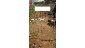 700f24985bf2c7cb16fad8a13d78b6fe