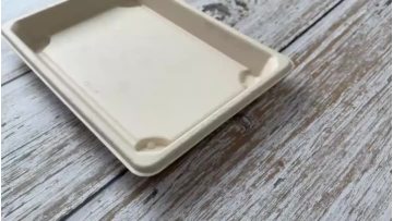 sugarcane sushi tray10