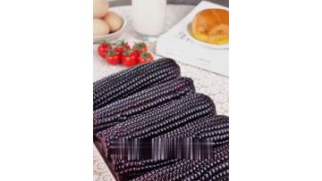 Black Glutinous Fresh - Eating Corn