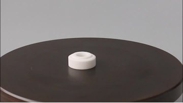 ceramic ring