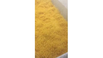 sweet corn freezing