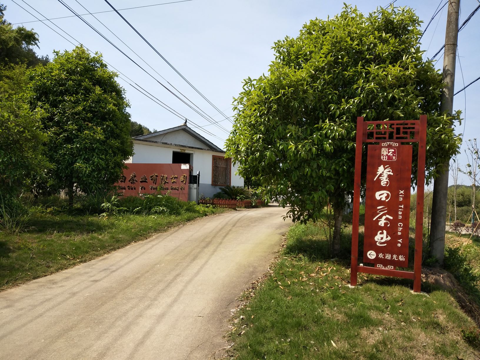 Zixi Country Xintian Tea Co,Ltd