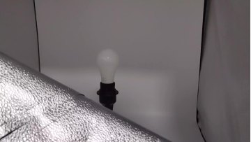 8W 3000K 5000K LED Bulb Housing Dusk To Dawn Bulb Light LED Lamp With Latest Design1