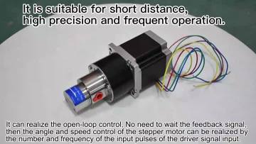 0.30cc Gear pump