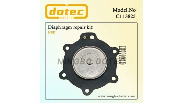 C113825 diaphragm