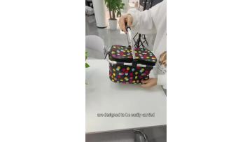 YR-CB116 luch bag