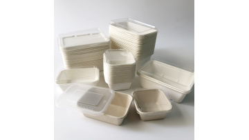 Bagasse sugarcane pulp tray 500ml 600ml HR650