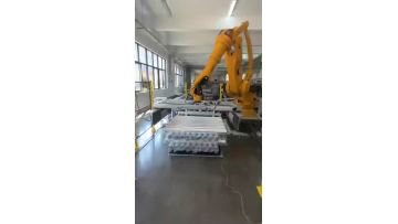 Automated PE Film Wrapping & Palletizing Solutions
