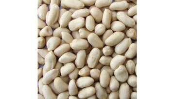 Air blanched peanut peeling machine 