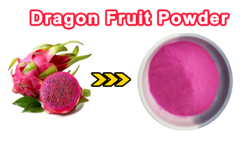 Dragon Fruit Powder