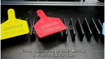 Fully Automatic In Line UV Laser Marking Machine