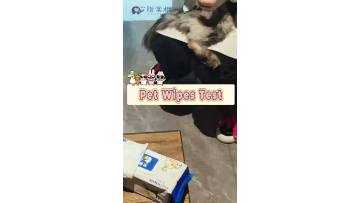 Pet wipes test