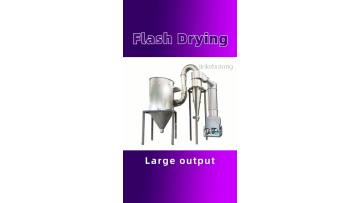 Flash dryer9