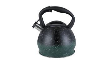 Stainless steel black stove-top kettle FH-528BG