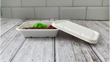 sugarcane bagasse container 650ml