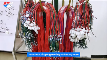 Branded Supplier of Wire Harnesses