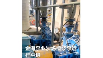 Slurry sludge centrifugal pumpCoal mine sewage pumpWash the sand pump1