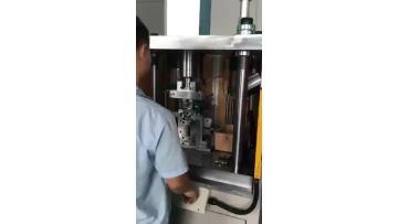 servo press machine 8