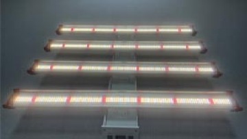 Promotion 600W LED Grow Light 4Bar