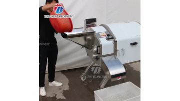 TS-Q180D Heavy-duty Commercial Vegetable Dicer