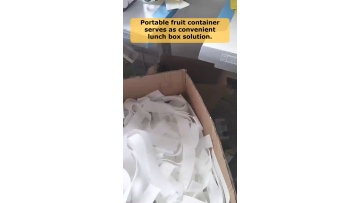 Video 32