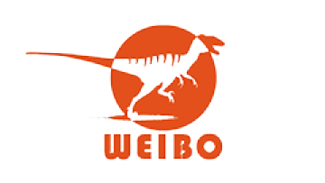 Zigong Weibo Culture and Art Co., Ltd.