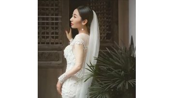 Lace Bridal Dresses Long Sleeves Mermaid Beach