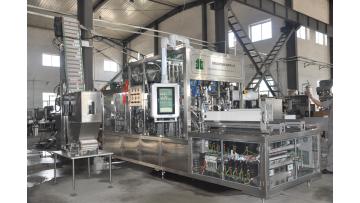 BW-6000 fully automatic gable top carton filling machine