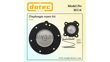 M114 Diaphragm Repair Kit