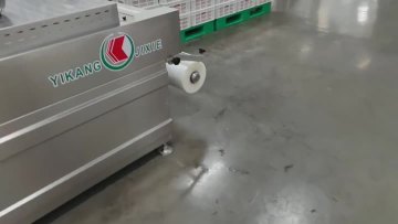 Sausage Thermoforming Packaging Machine