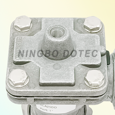 RCA25DD.1