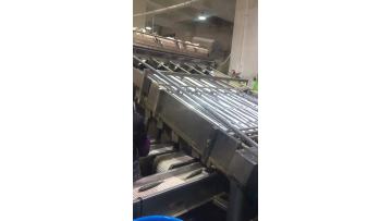 12rollers grading machine for fish