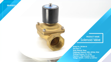 2W500-50 2'' 2 Way Normally Closed Water Air Gas B