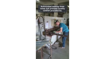 Video 4