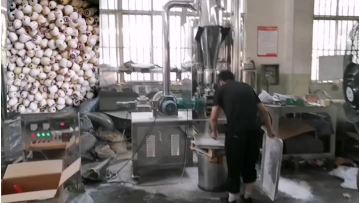 Lotus seed powder grinding machine  (2)