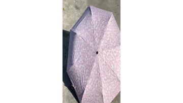 small folding umbrella.mp4