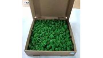 Wholesale Green Stabilized Preserved Moss for Wall Decoration1