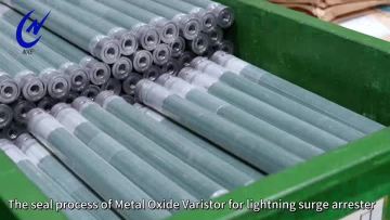 metal oxide varistor