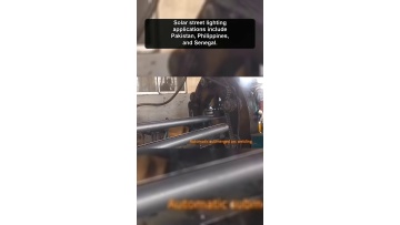 Balanced solution for public lighting comprehensive performance and overall smart city renovation project budget constraints