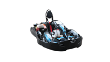 Adult Petrol Go Karts: High Quality 200cc/270cc EGS Fast Go Karts1