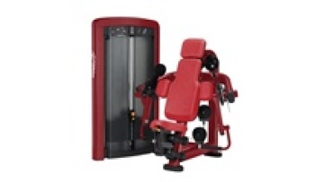 Biceps Curl Fitness Machine For Gym