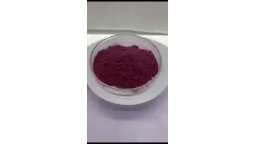Grape Seeds Extract Powder