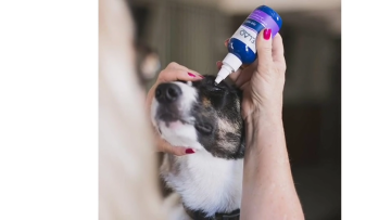 Private label hot sale safe cleaning pet eye care irritation relief antimicrobial eye wash for dogs1