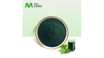 Water Soluble Herbal Supplements Dark Green Powder Immune & Anti-fatigue EU Organic Chlorophyll Food Supplement1
