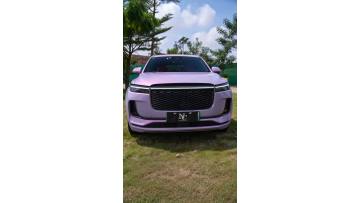 LM42-P Liquid Metal Colorful Purple (Ayann)