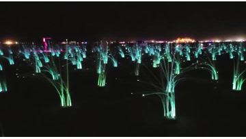 Landscape Lighting