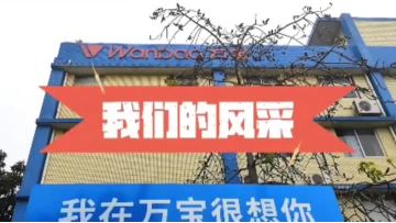 # Labor Day # Wanbao refrigerator