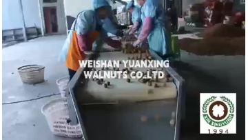 company show