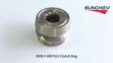 3807613 Clutch Dog