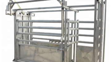 PORTABLE CATTLE CRUSH heavy duty horse cattle crush / Heavy duty Cattle crush1